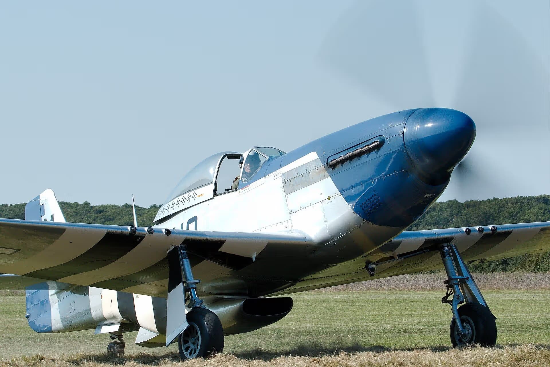 Unidentified — Warbird