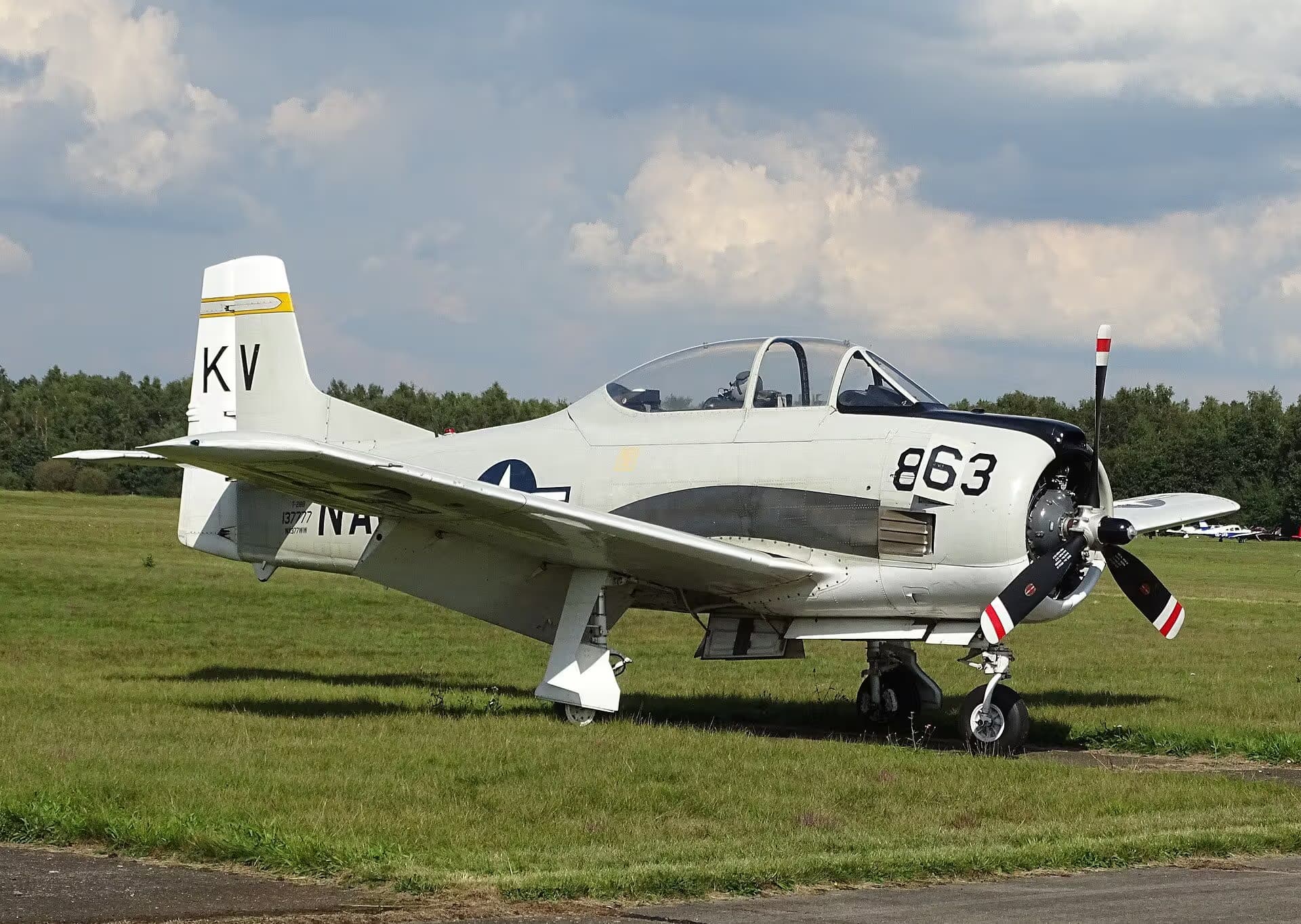 Unidentified — Warbird