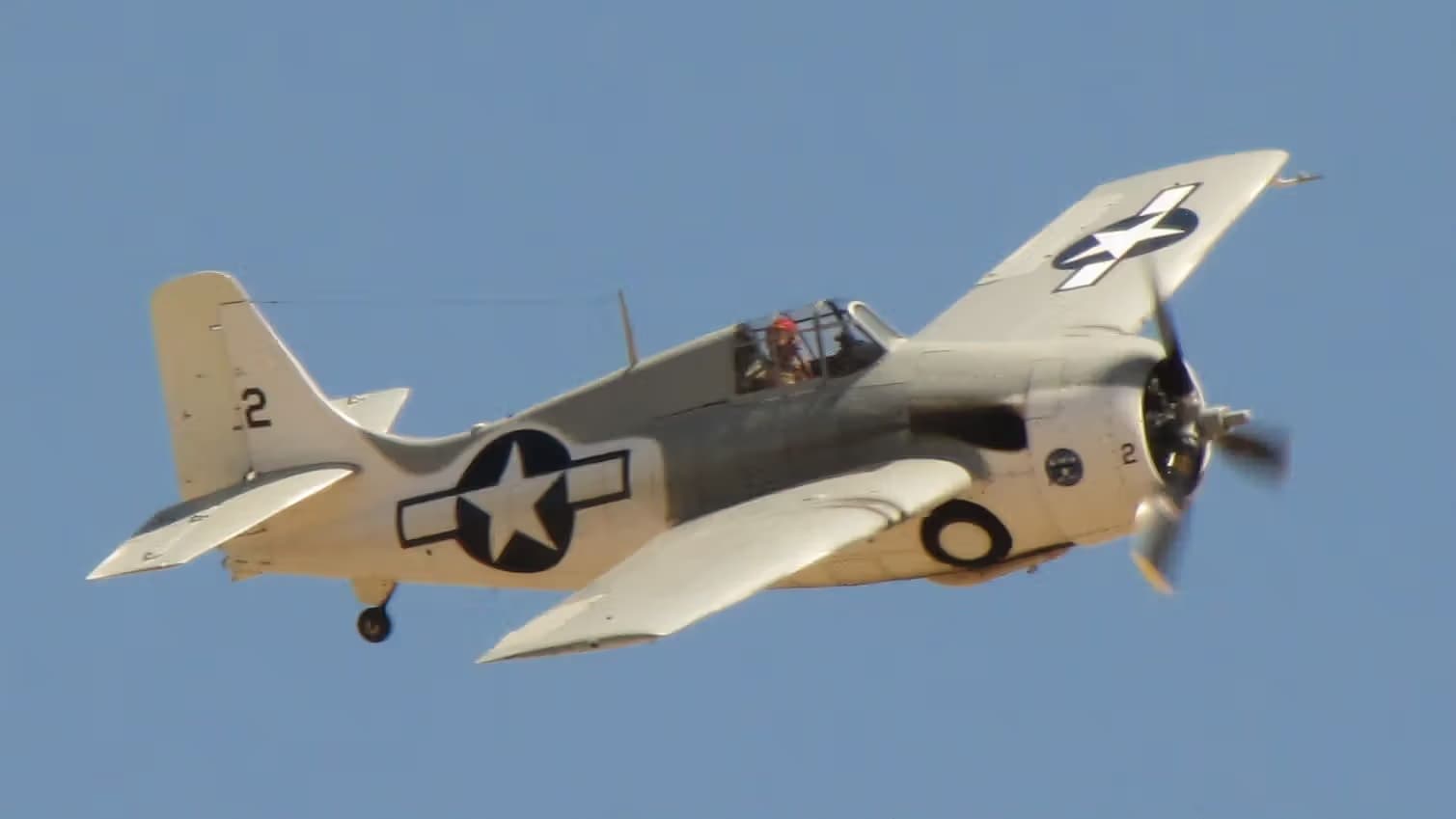 N86572 — Warbird