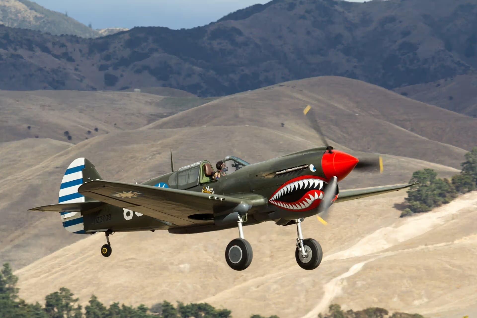 Unidentified — Warbird