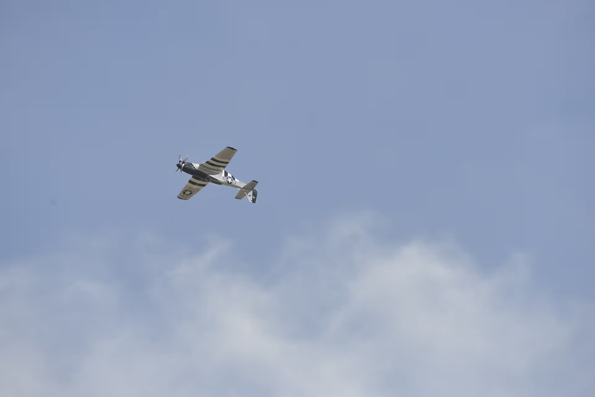 Unidentified — Warbird