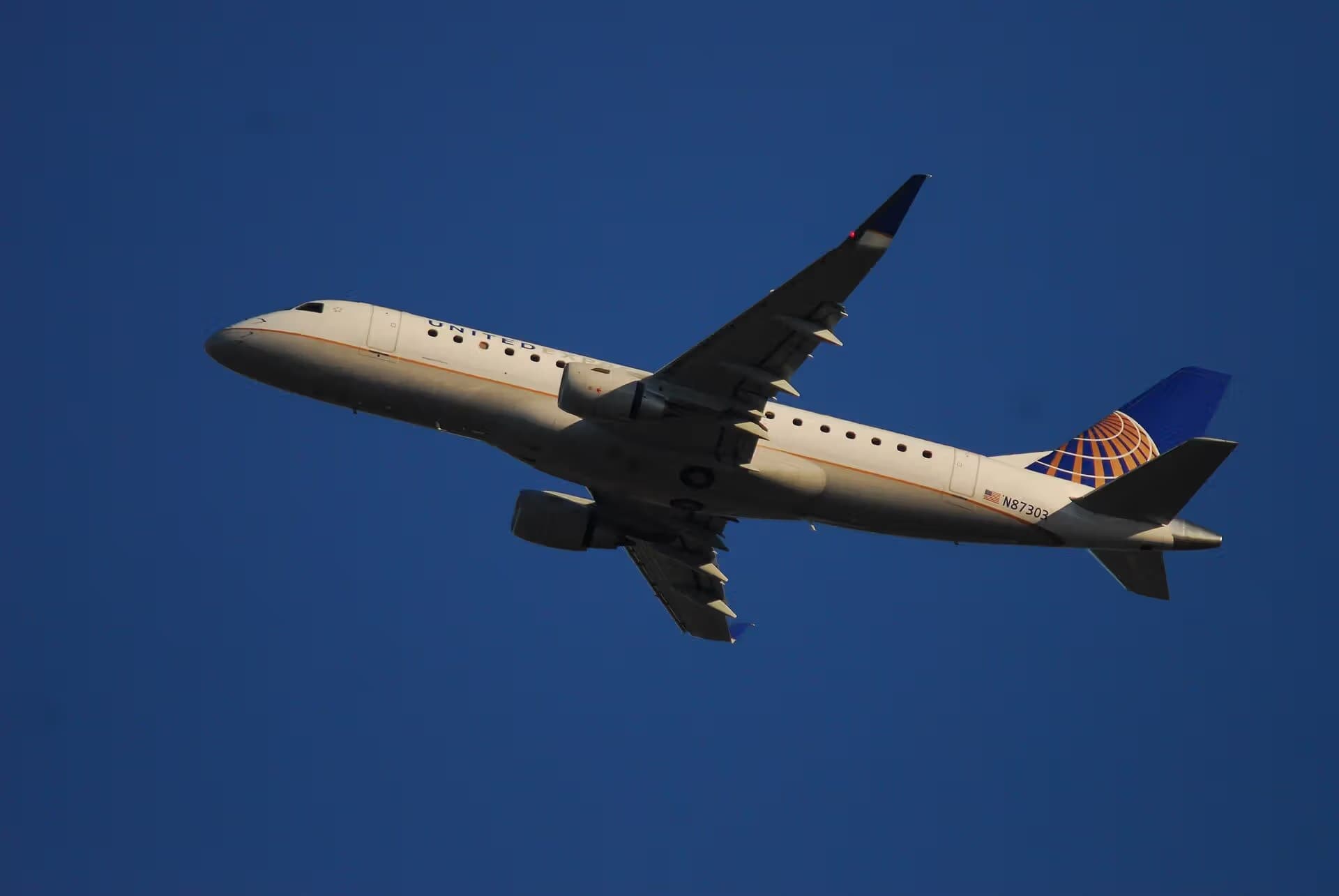 N87303 — Twin-engine aircraft