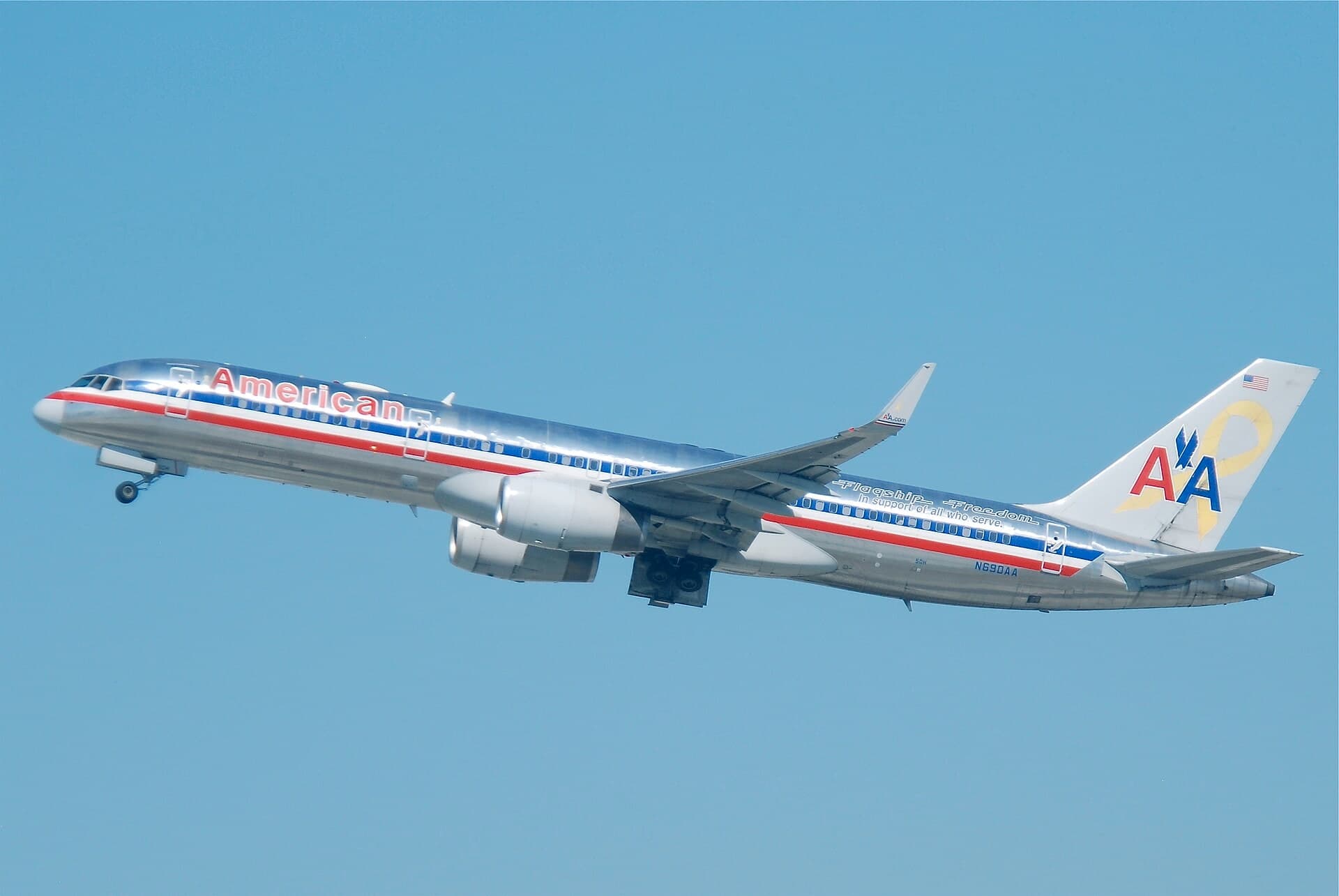 N690AA — Twin-engine aircraft