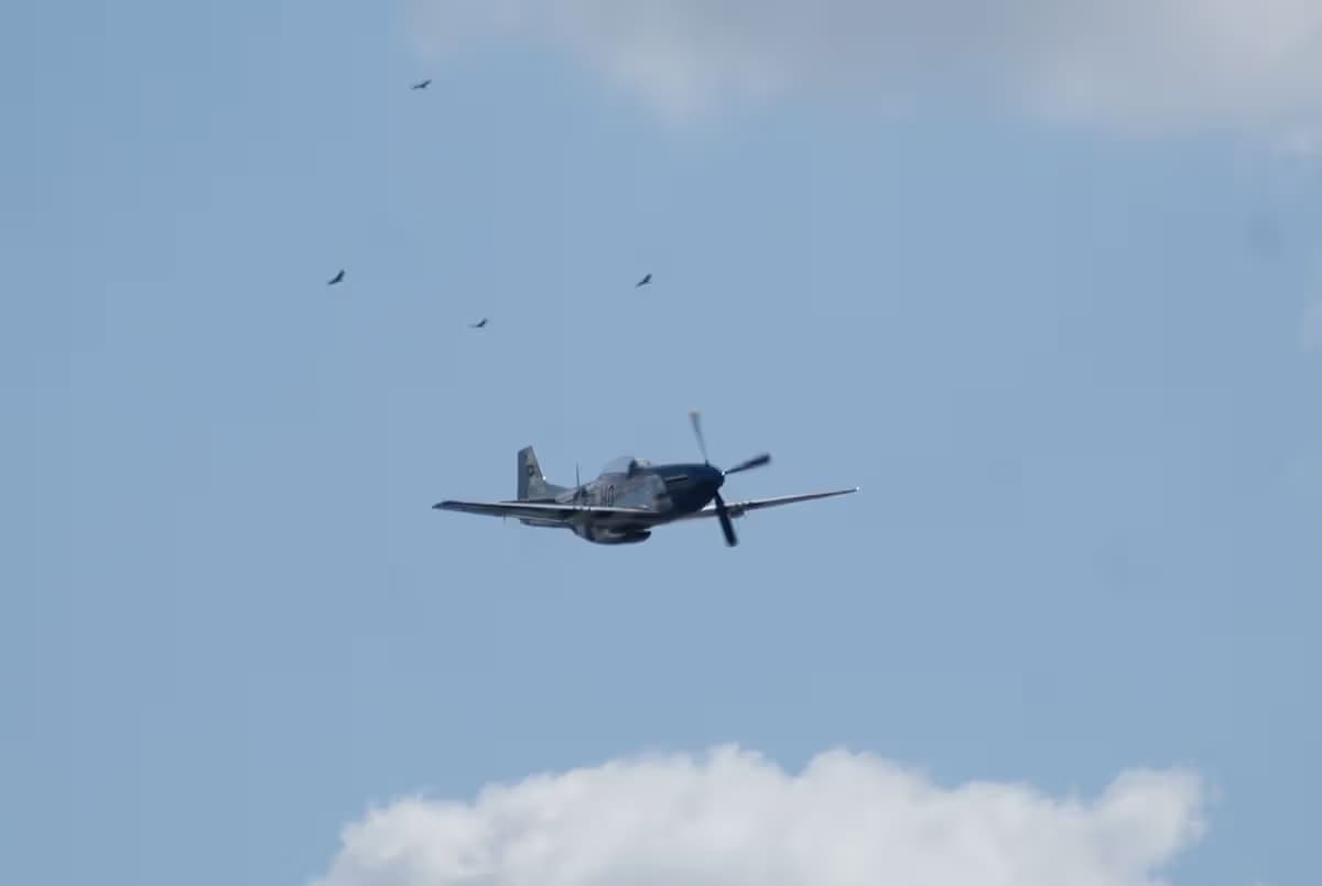 Unidentified — Warbird