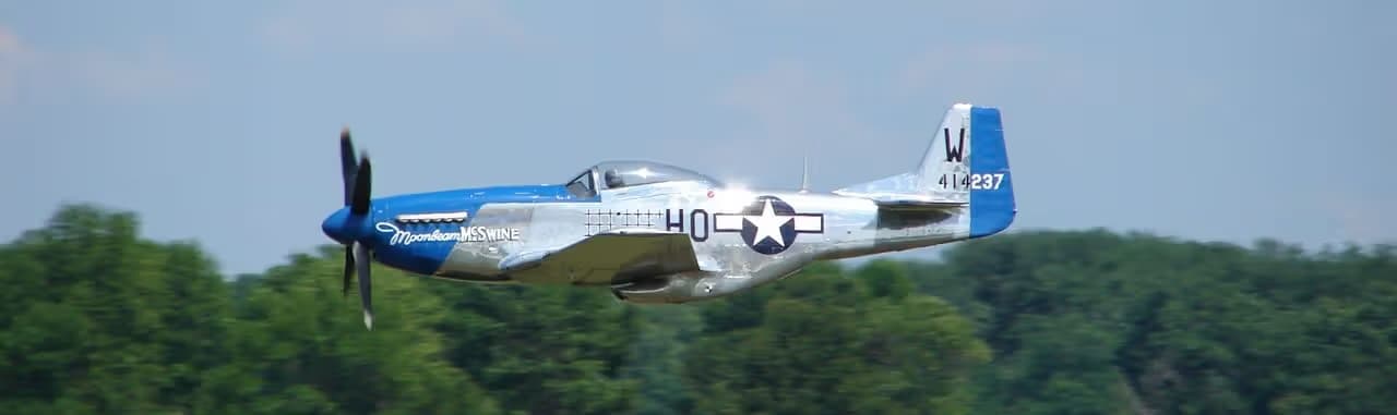 Unidentified — Warbird