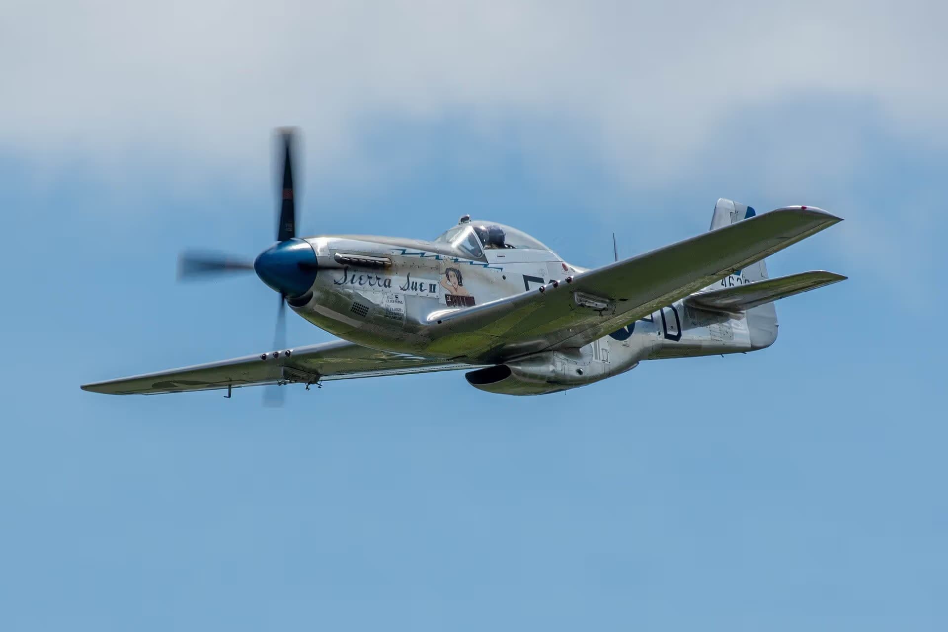 N1751D — Warbird
