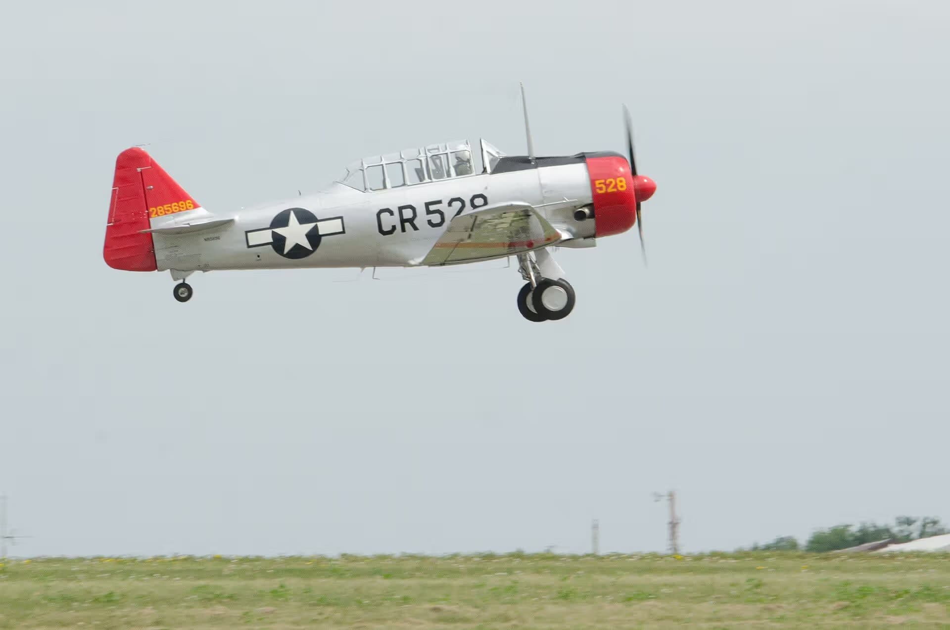 N85696 — Warbird