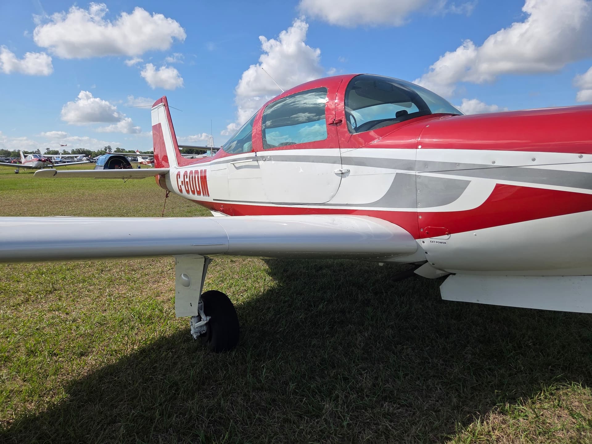 CGODN — American Aviation AA-1B at Lakeland Linder Intl