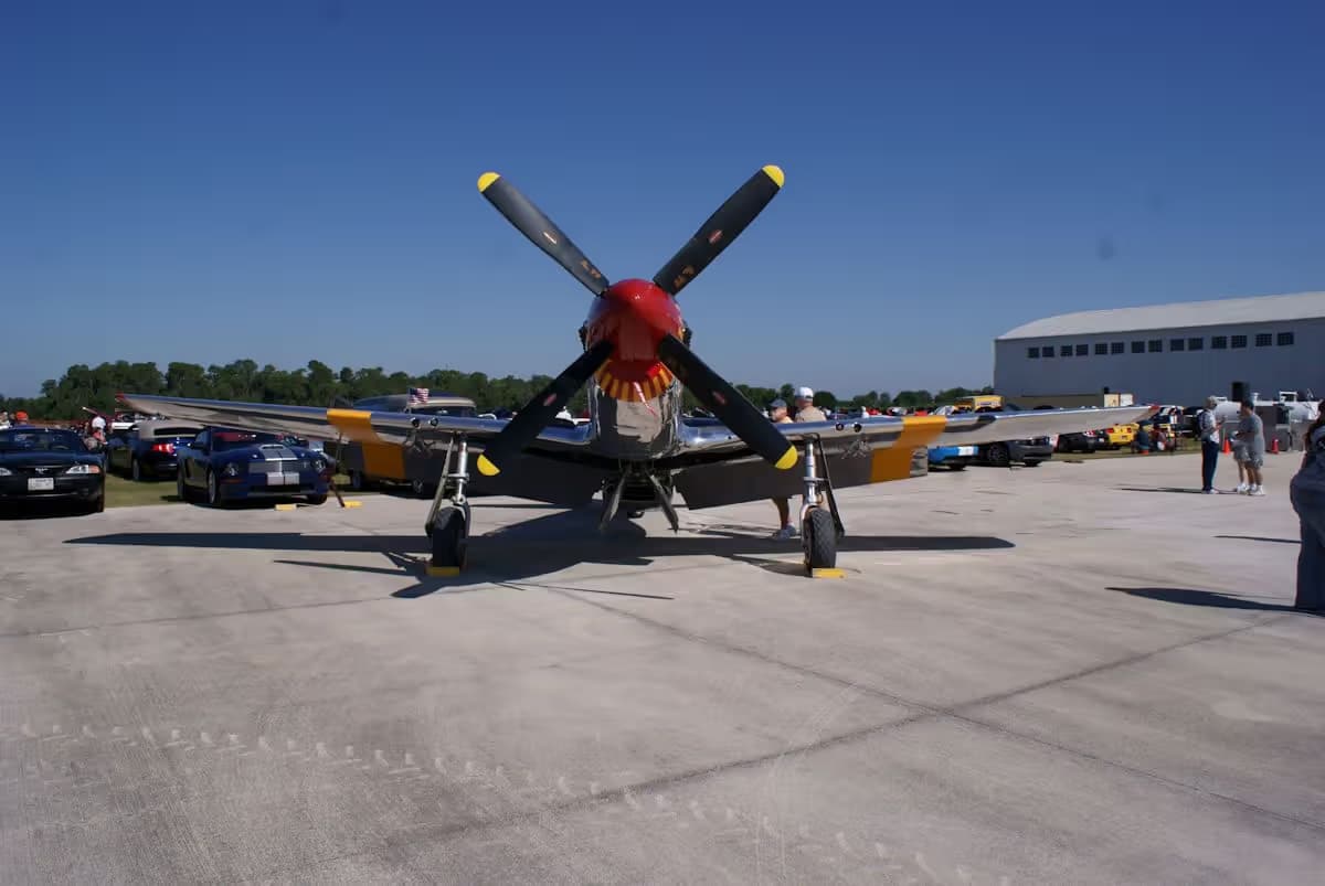 Unidentified — Warbird
