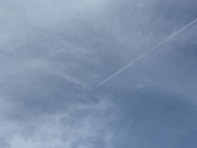 N169UW — 2001 Airbus Industrie A321-211