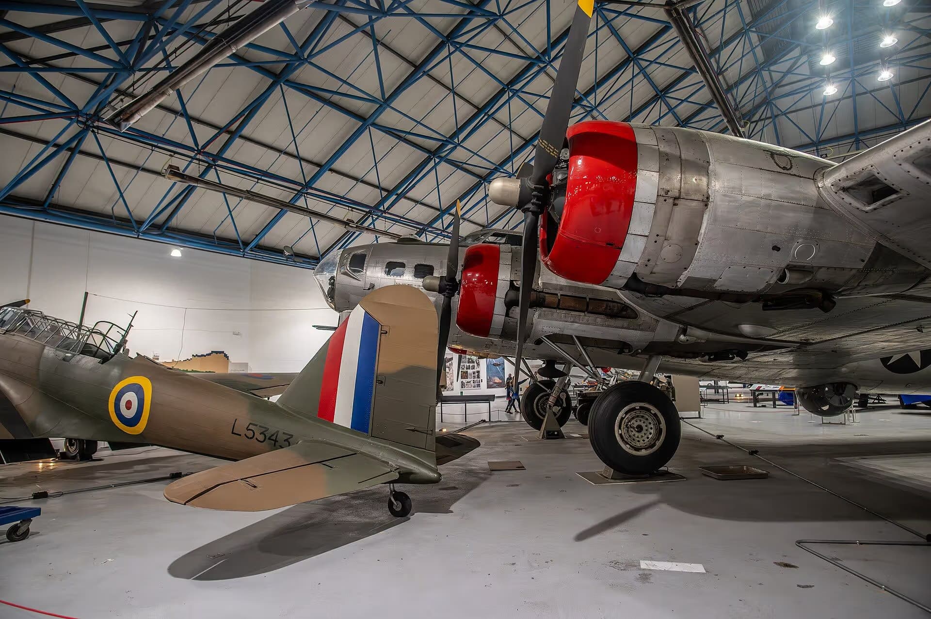 Unidentified — Warbird