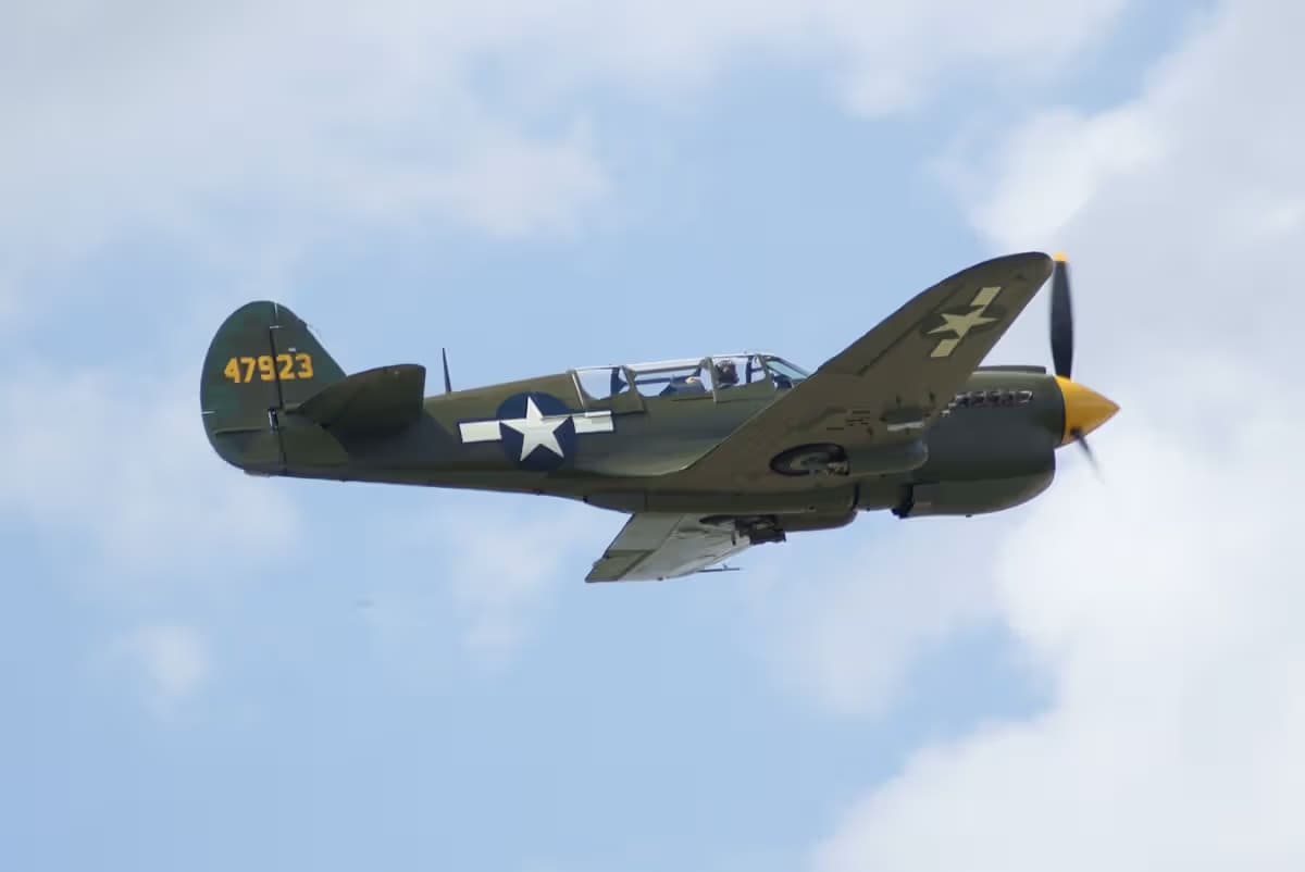 Unidentified — Warbird