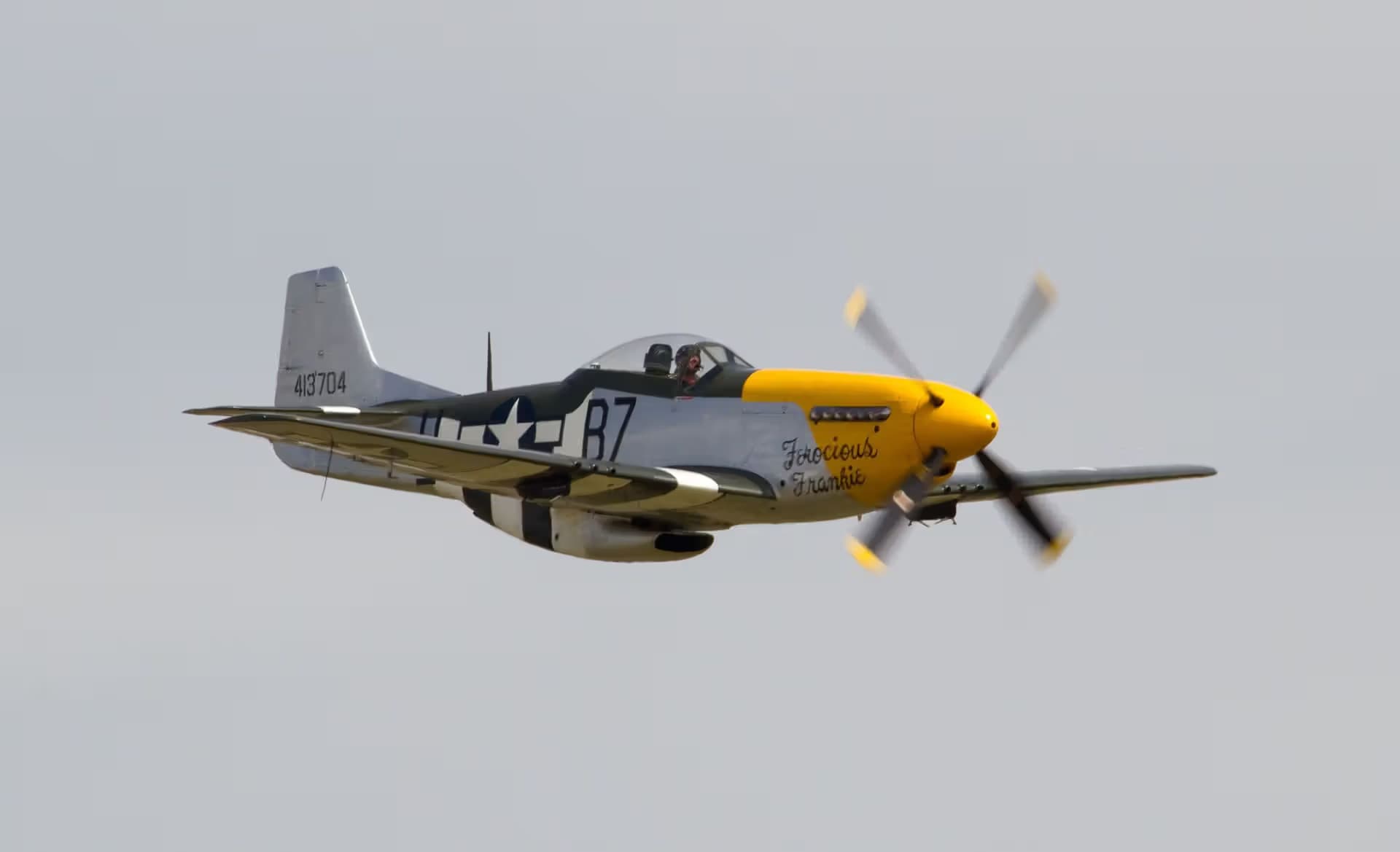 Unidentified — Warbird