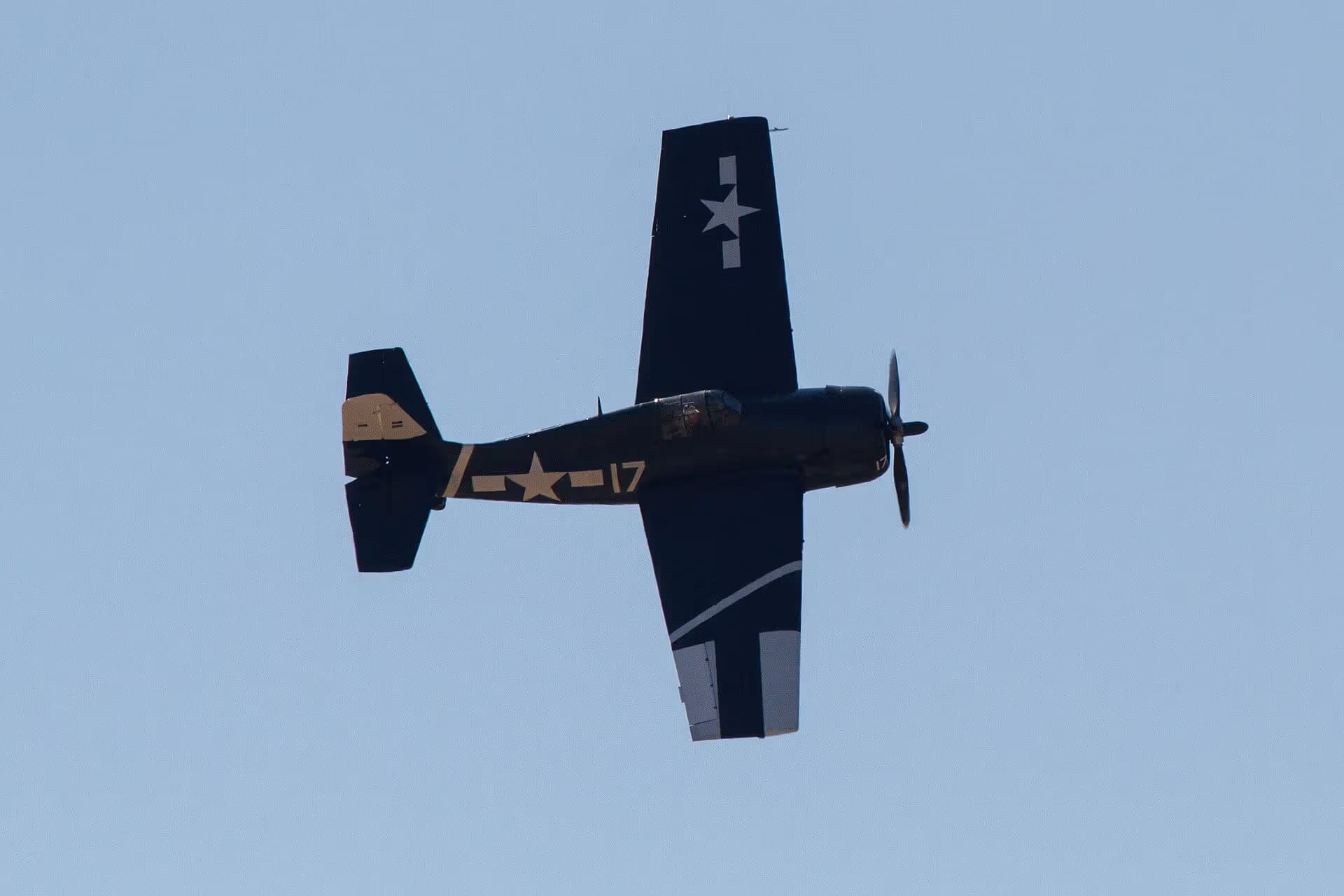 Unidentified — Warbird