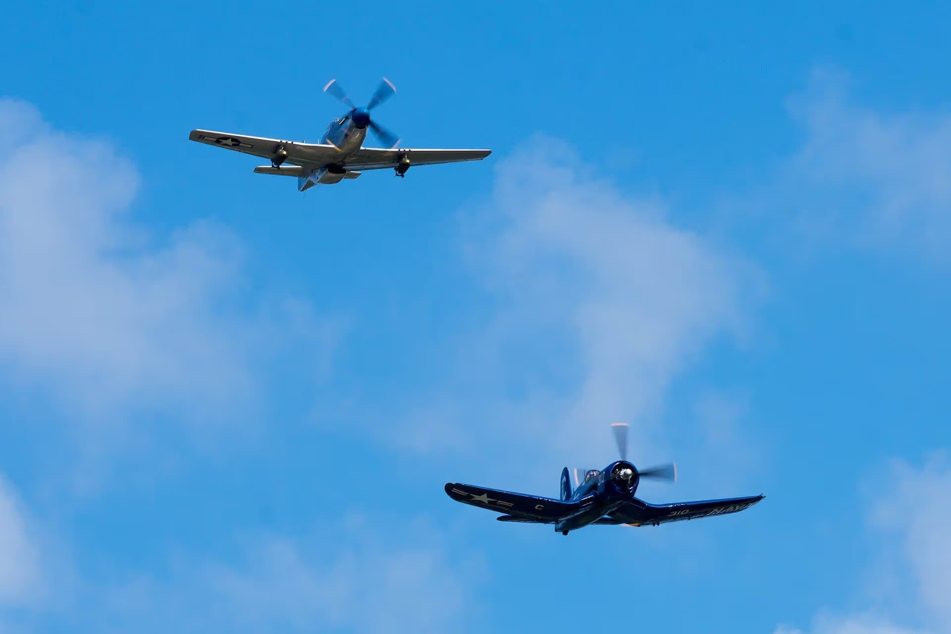 N1751D — Warbird