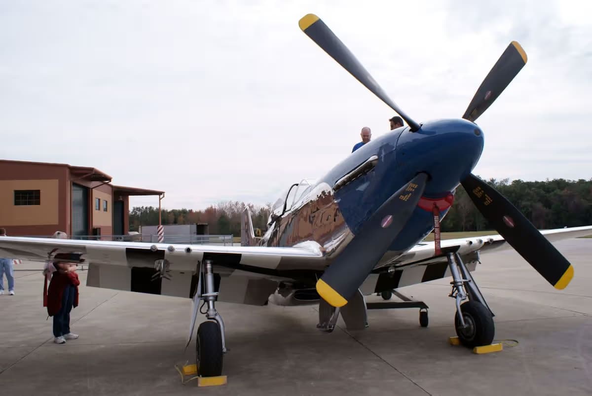 Unidentified — Warbird