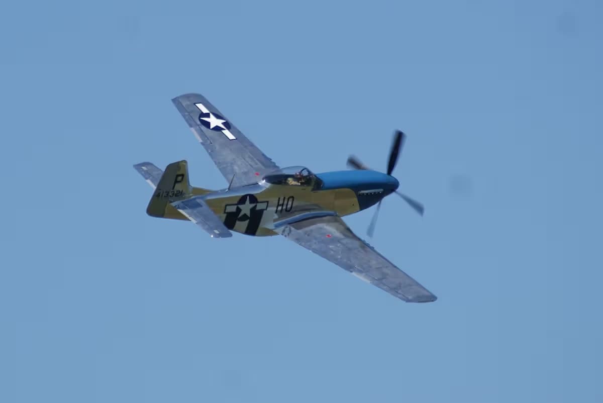 Unidentified — Warbird