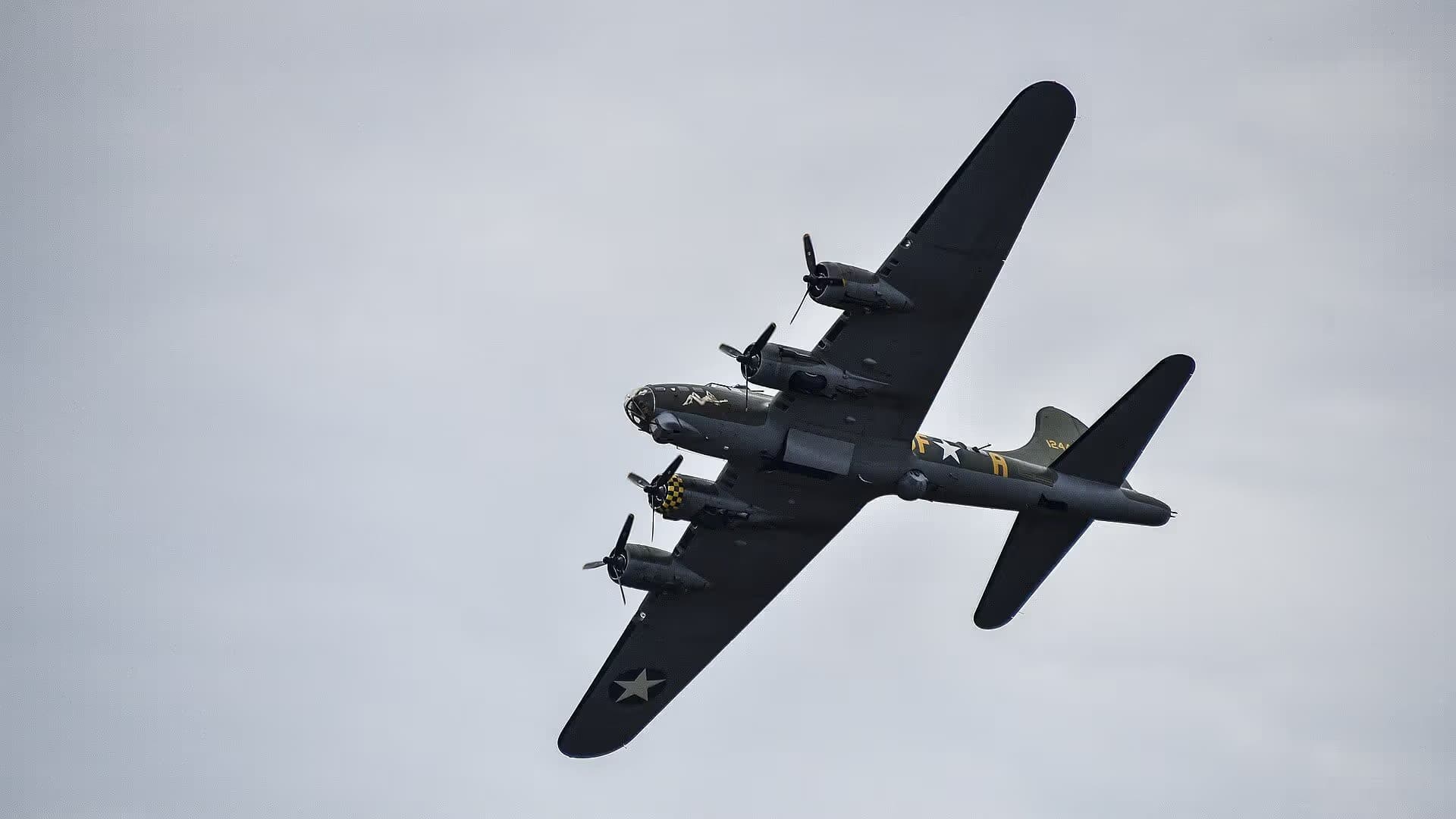 Unidentified — Warbird