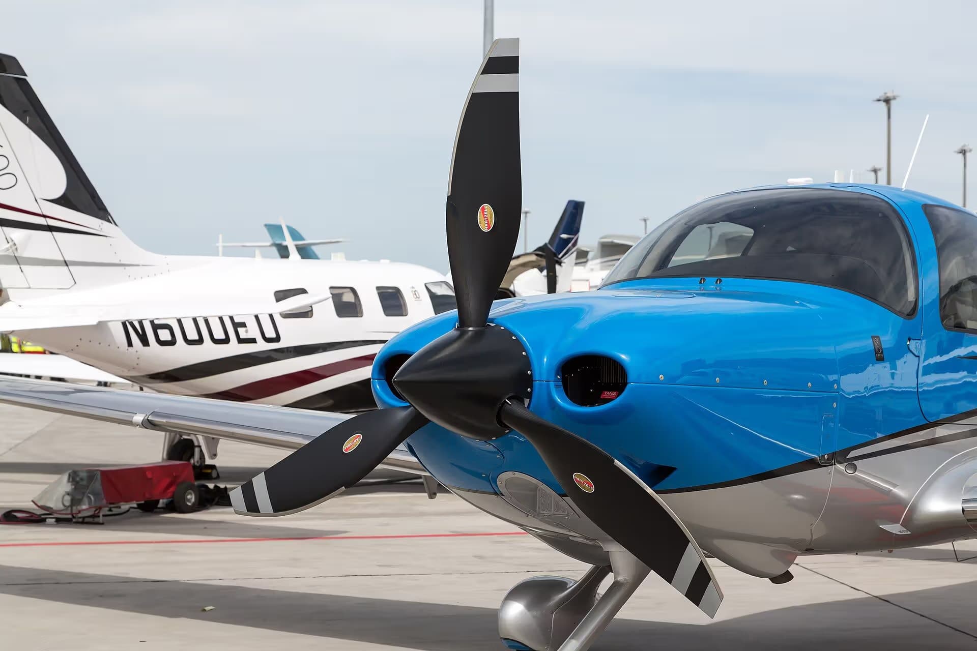 N662DP — Single-engine aircraft