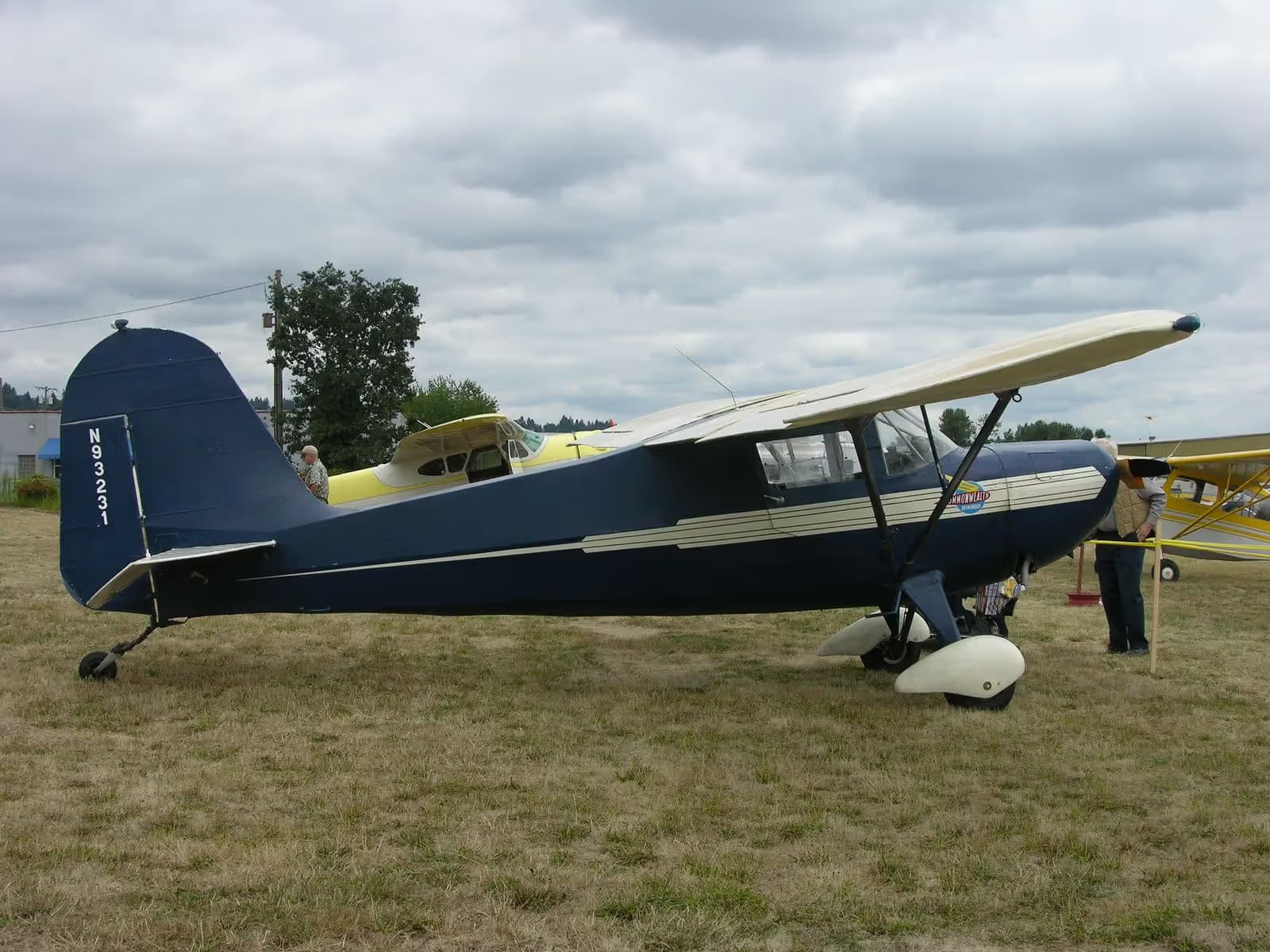 N93231 — Single-engine aircraft