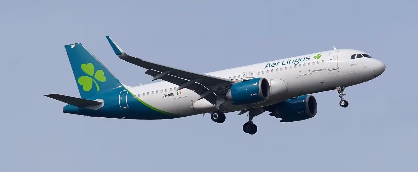 EI-NSB — Twin-engine aircraft