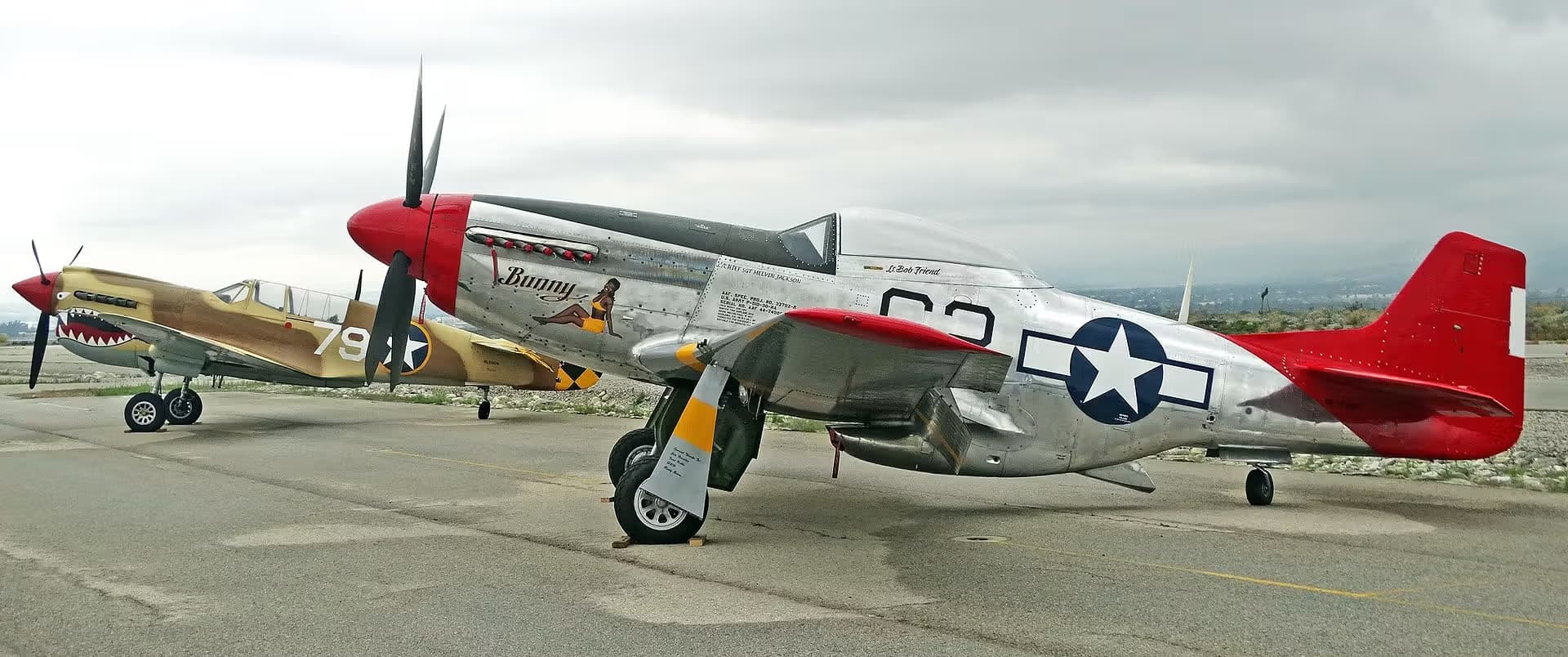 Unidentified — Warbird