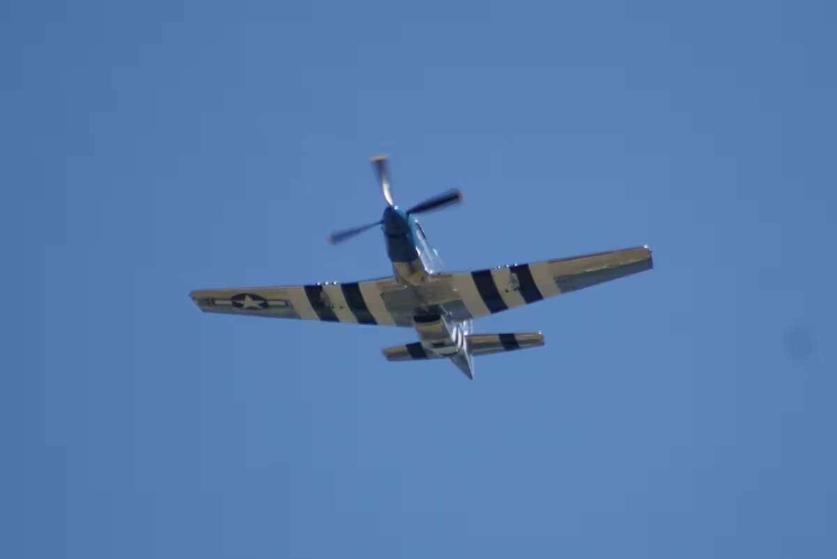 Unidentified — Warbird