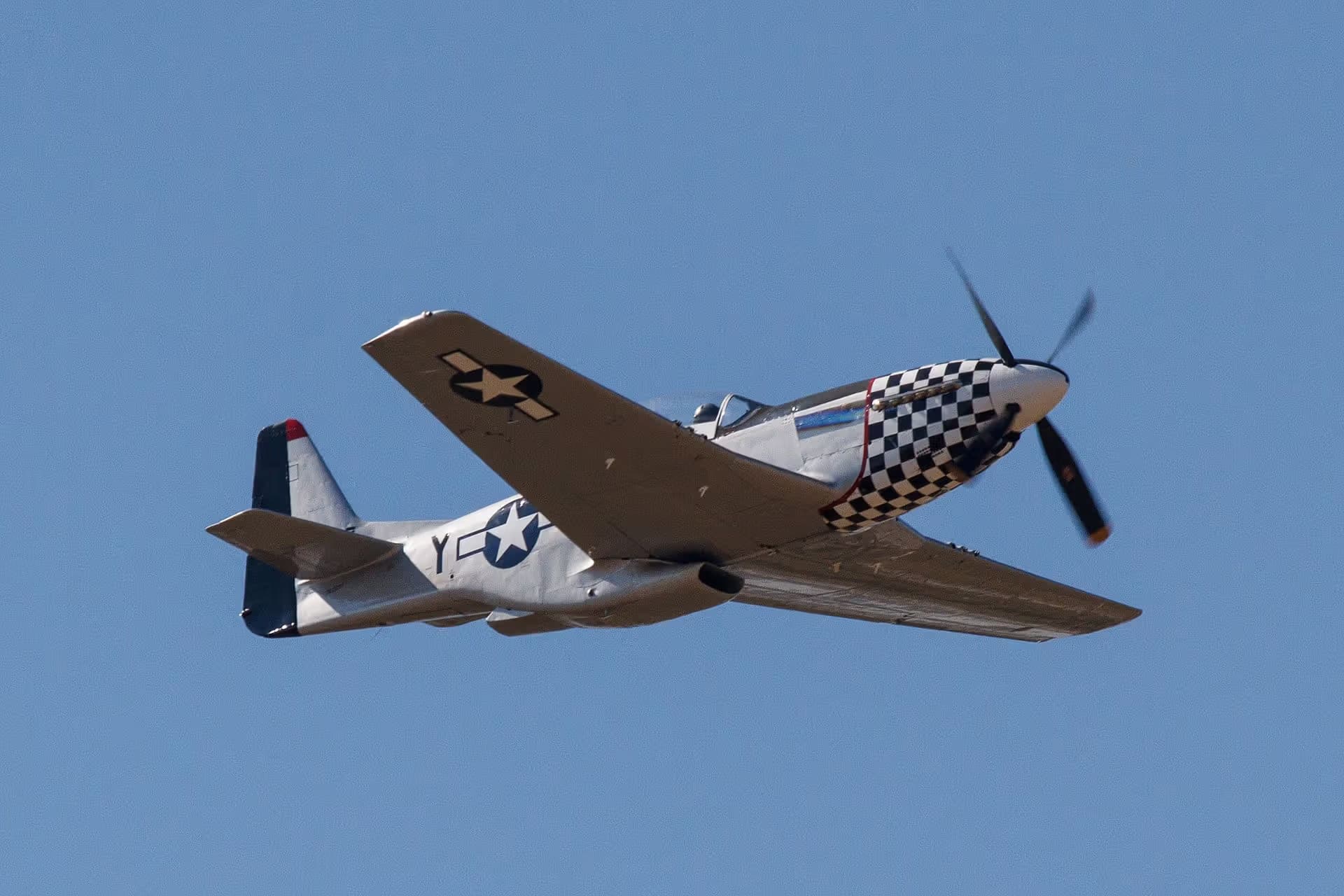 Unidentified — Warbird