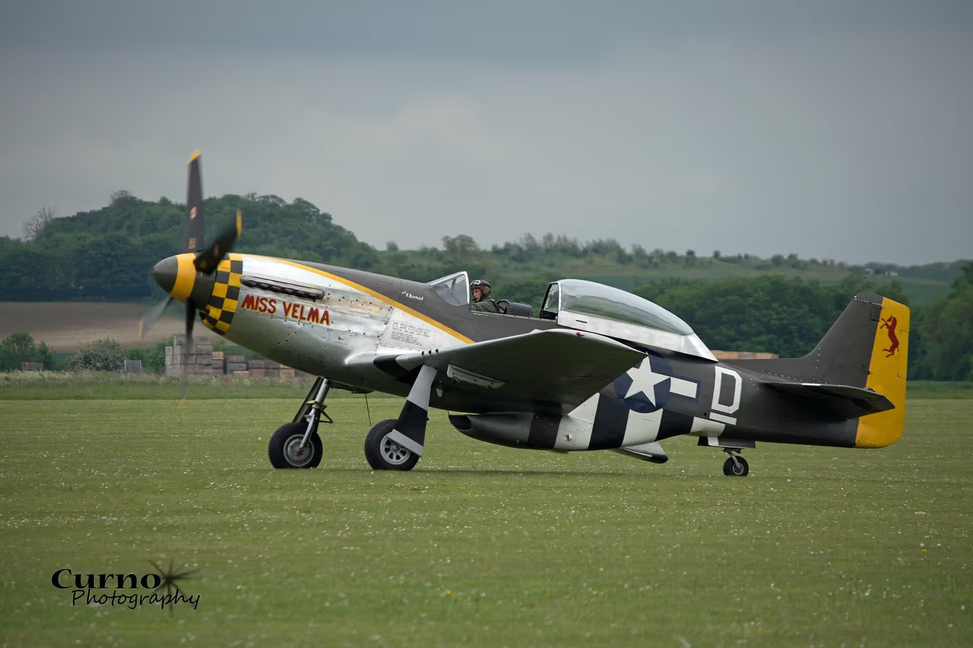 N251RJ — Warbird