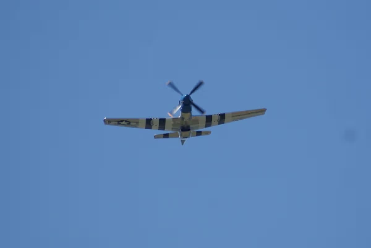 Unidentified — Warbird
