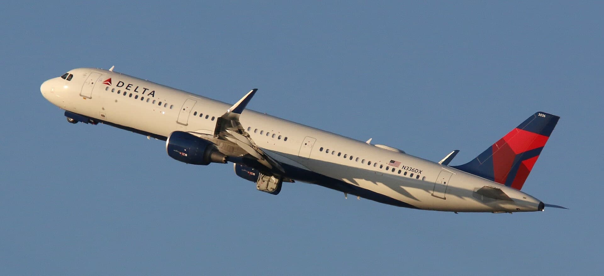 N336DX — Airbus