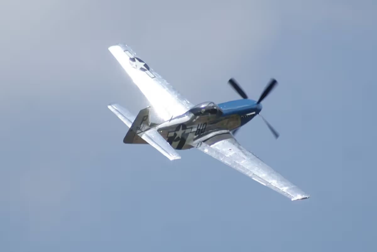 Unidentified — Warbird