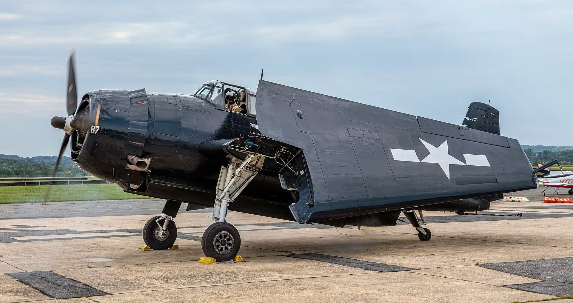 Unidentified — Warbird