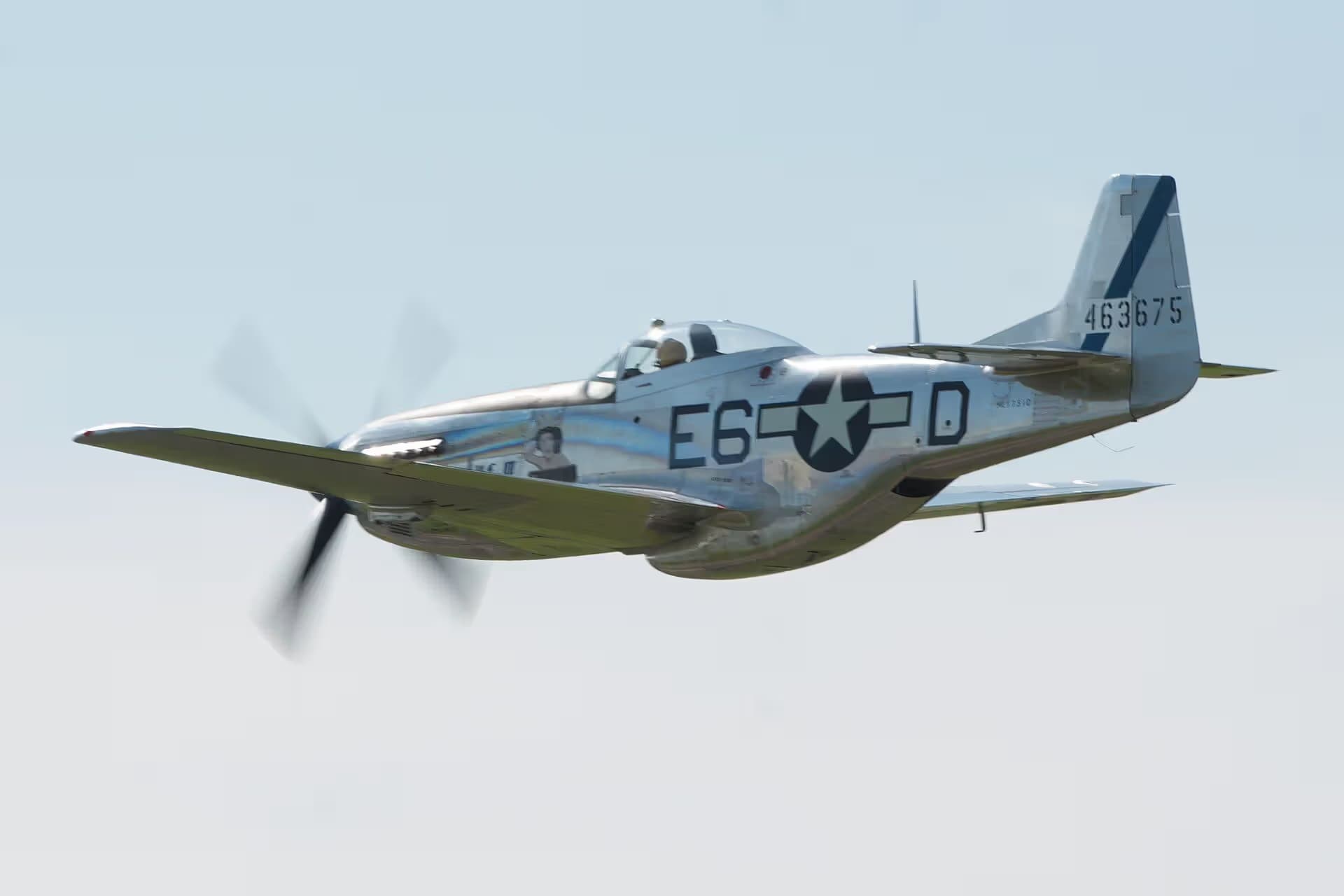 N1751D — Warbird