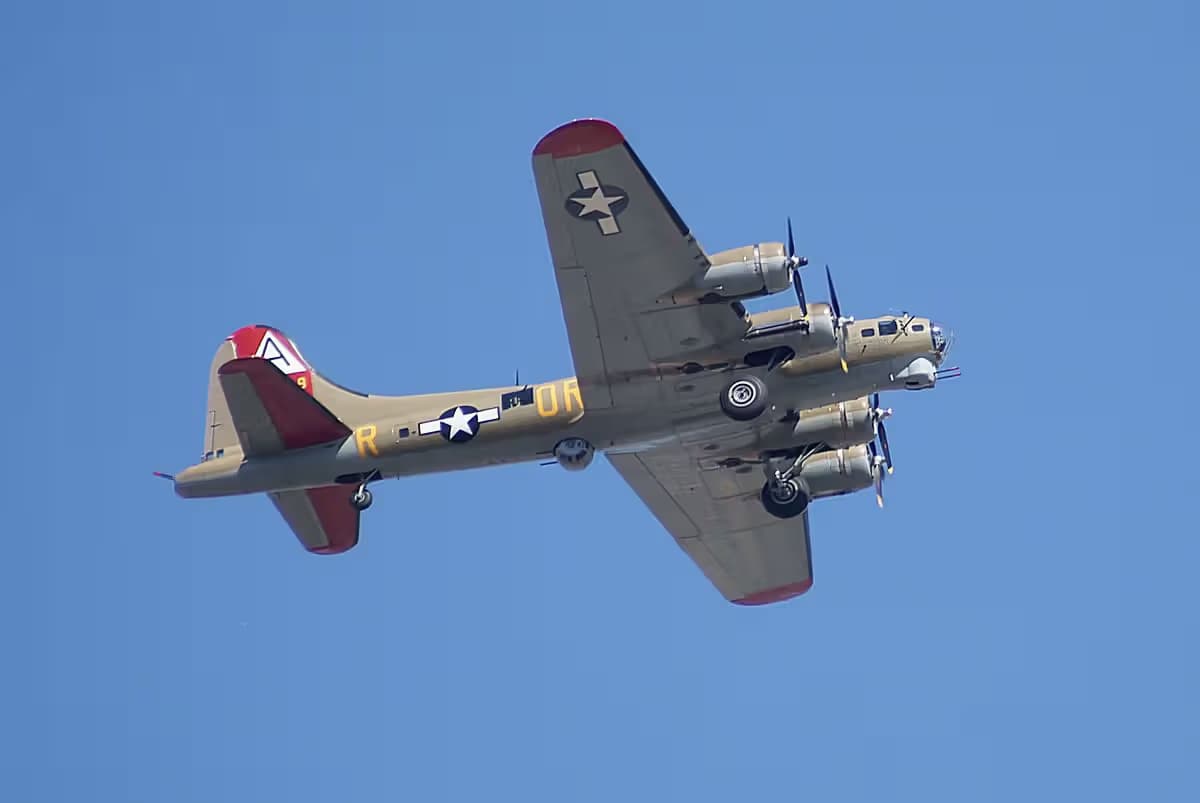 Unidentified — Warbird