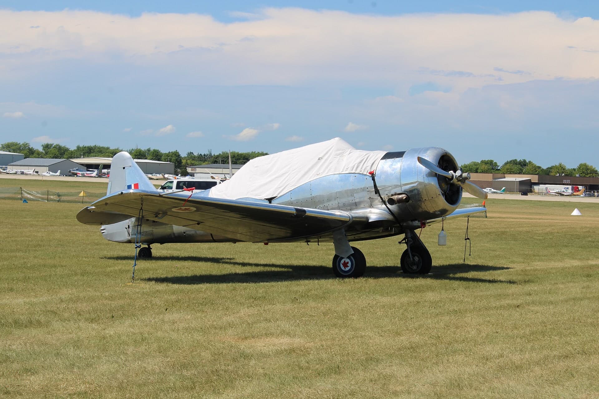 N52494 — Single-engine aircraft