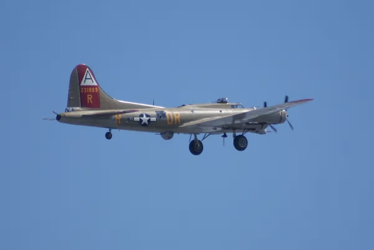 Unidentified — Warbird