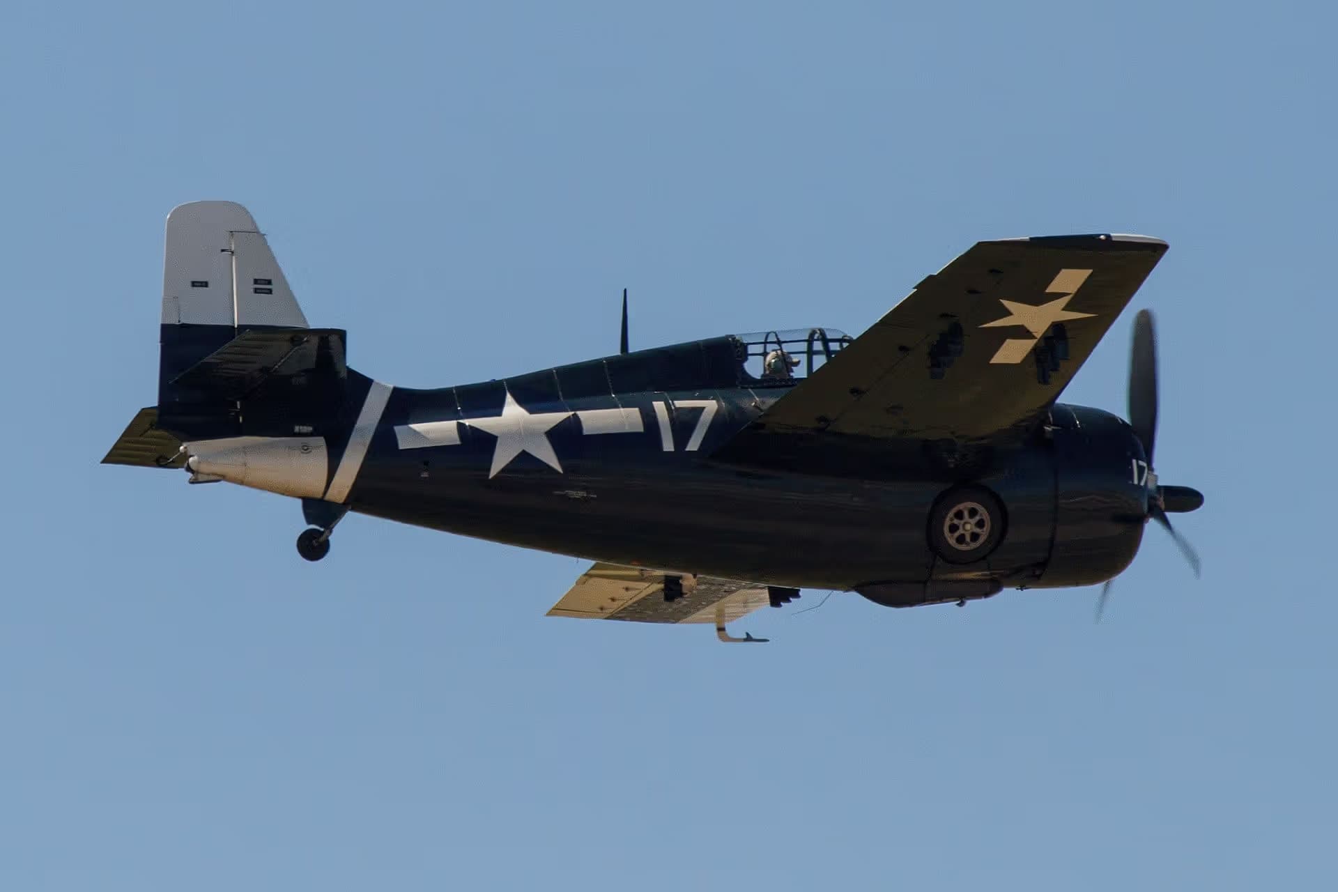 Unidentified — Warbird