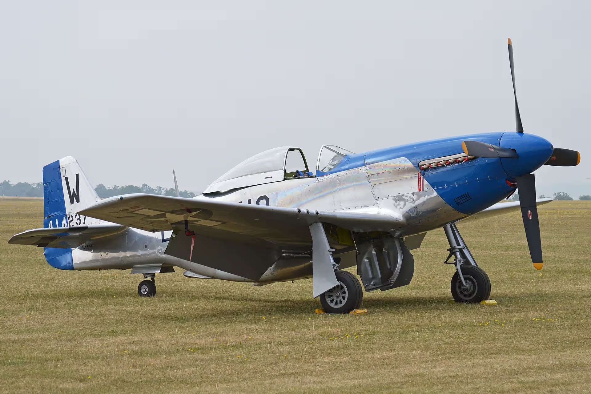 Unidentified — Warbird