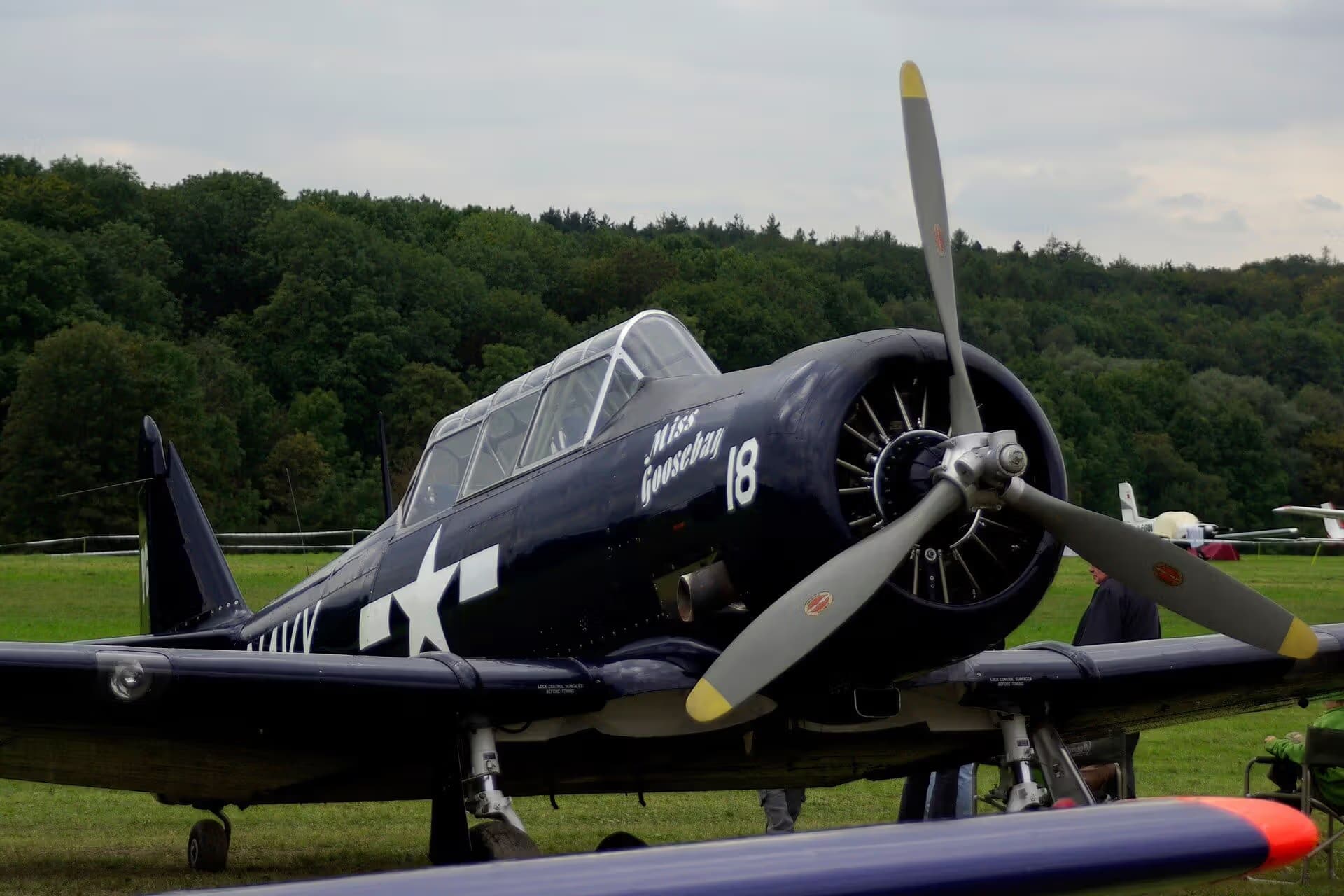 N6593D — Warbird