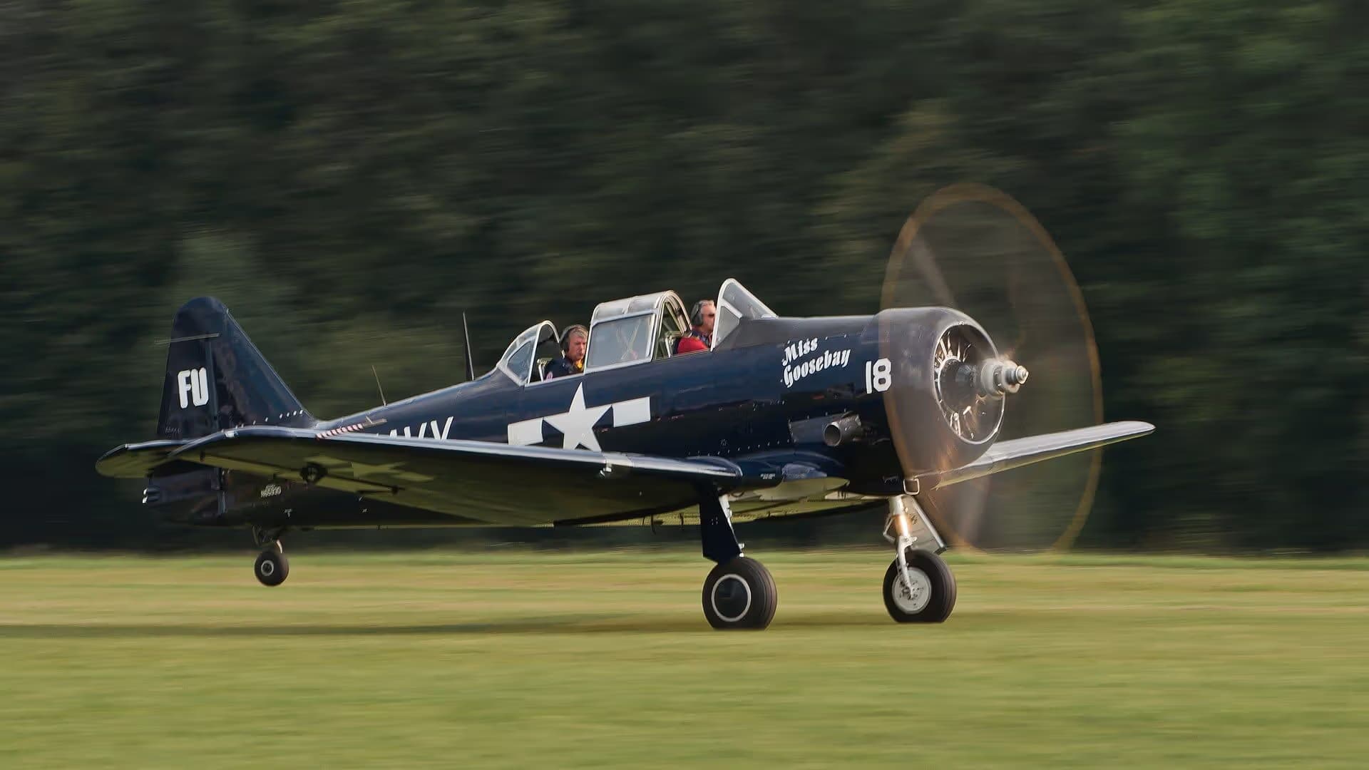 N6593D — Warbird
