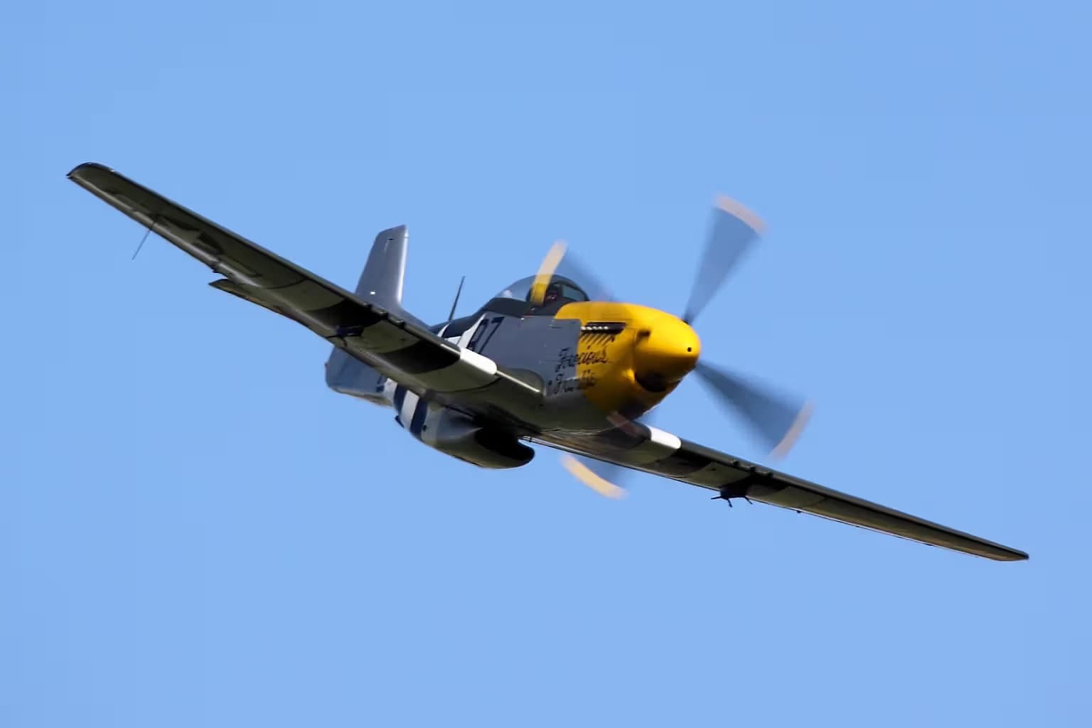 Unidentified — Warbird