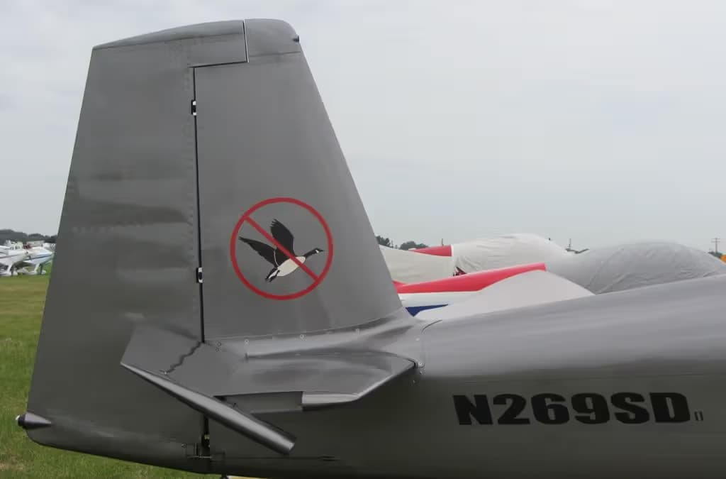 N269SD — Single-engine aircraft