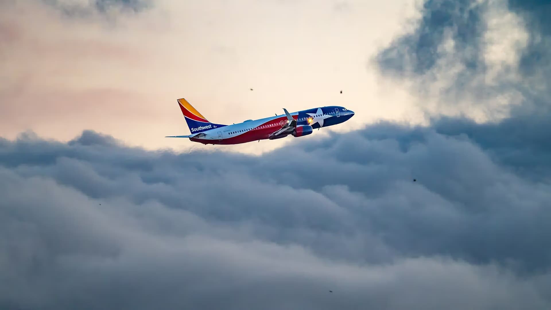 N8660A — Twin-engine aircraft