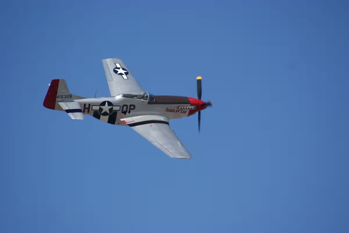 Unidentified — Warbird