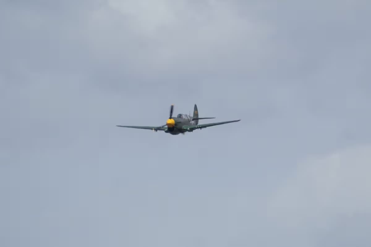 Unidentified — Warbird