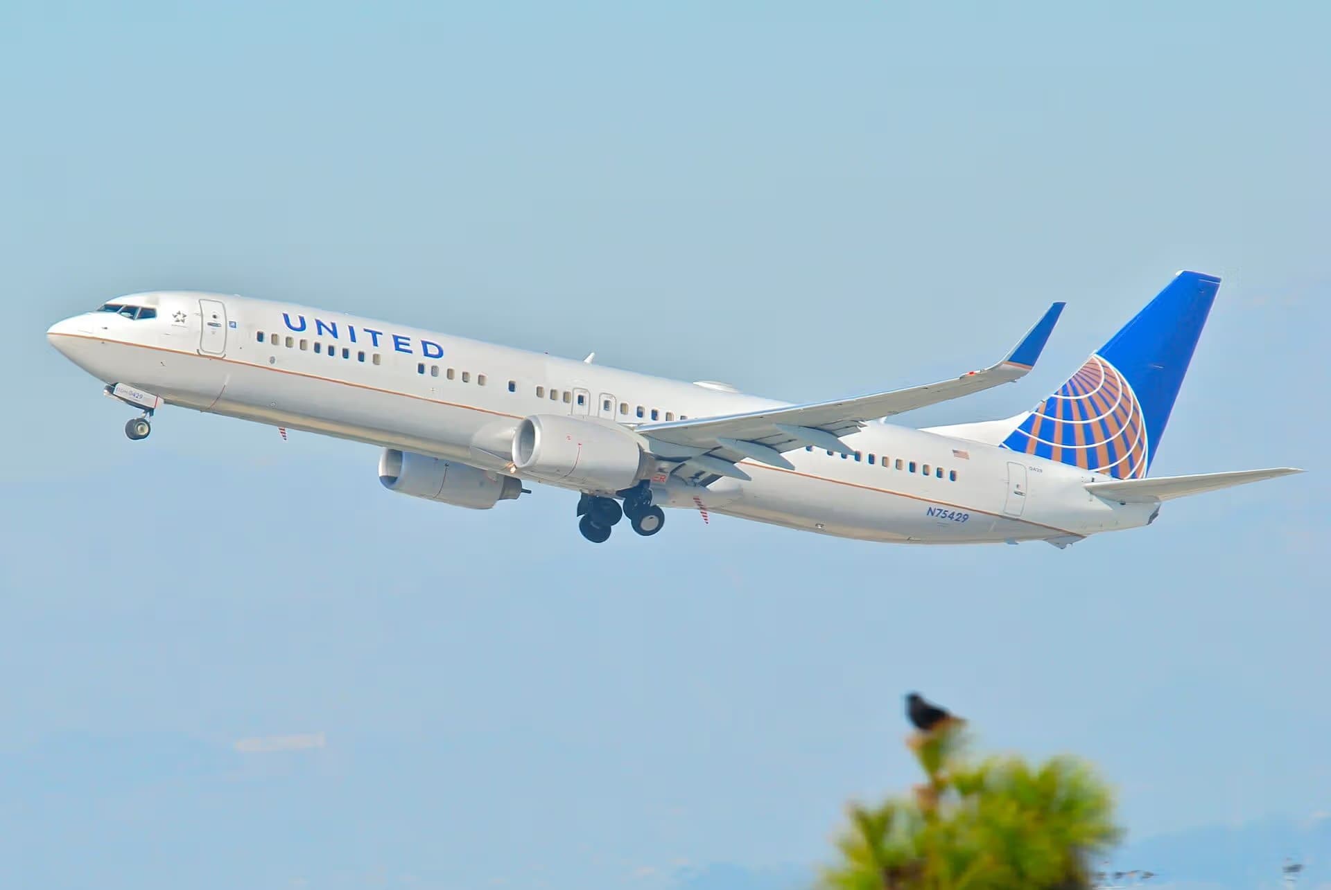 N75429 — Twin-engine aircraft