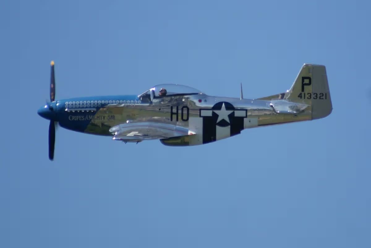 Unidentified — Warbird