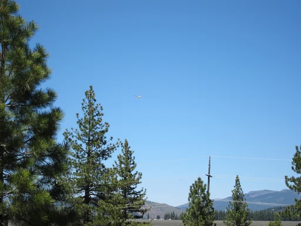 N3981C — Glider