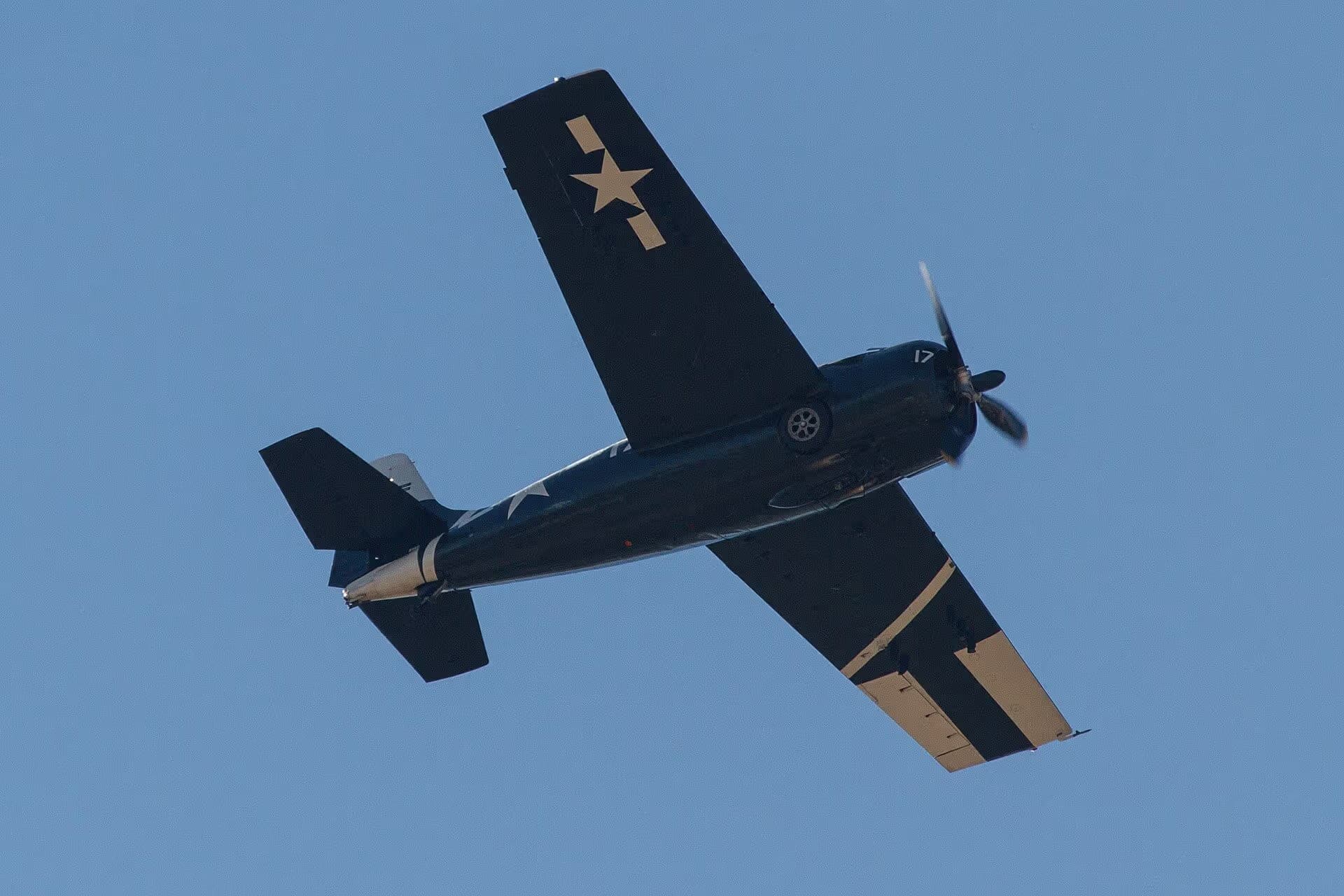 Unidentified — Warbird